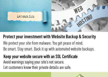 Web Hosting & Domain Names